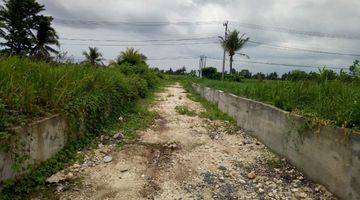 Gambar 5 Tanah:10.000 M2(1 hektar ) super langka siap Bangun Di kaba kaba Tabanan Bali 