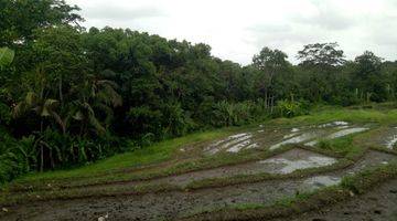 Gambar 3 Tanah:800 M2(8 are) full view sawah super langka siap Bangun Di Buwit kaba kaba Tabanan Bali 