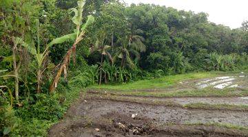 Gambar 5 Tanah:800 M2(8 are) full view sawah super langka siap Bangun Di Buwit kaba kaba Tabanan Bali 