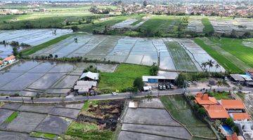 Gambar 2 Tanah:2000 M2(20 are ) super langka siap Bangun Di jalan utama pantai Seseh Munggu Bali 