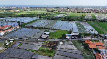 Gambar 3 Tanah:2000 M2(20 are ) super langka siap Bangun Di jalan utama pantai Seseh Munggu Bali 