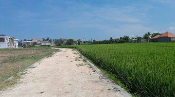 Gambar 4 Tanah:1000 M2(10 Are) Full View Sawah Abadi Siap Bangun Dekat Pantai Seseh Munggu Badung Bali 