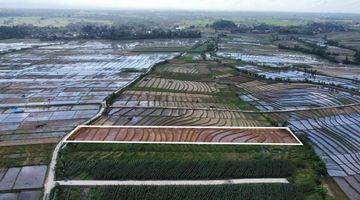 Gambar 5 Tanah:2500 M2(25 Are ) Super Langka Siap Bangun Dekat Pantai Kelating Tabanan Bali 