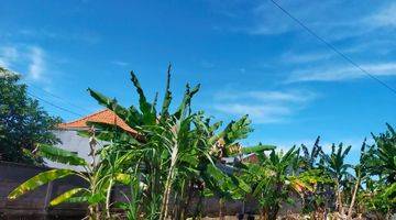 Gambar 2 Tanah:825 M2(8,25 Are ) Super Langka Siap Bangun Dekat Pantai Kedunggu Desa Balangan Tabanan Bali 