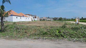 Gambar 2 Tanah:1000 M2(10 Are) Full View Sawah Abadi Siap Bangun Dekat Pantai Seseh Munggu Badung Bali 