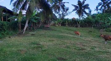 Gambar 4 Tanah:1750 M2(17,5 Are ) Super Langka Siap Bangun Di Balian Beach Tabanan Bali 