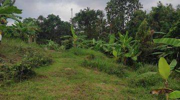 Gambar 2 Tanah :200 M2(2 Are ) Super Langka Siap Bangun Di Belakang Hotel ,Resort Gajah Mina Balian Beach Tabanan Bali 