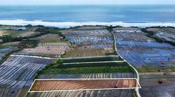 Gambar 1 Tanah:2500 M2(25 Are ) Super Langka Siap Bangun Dekat Pantai Kelating Tabanan Bali 