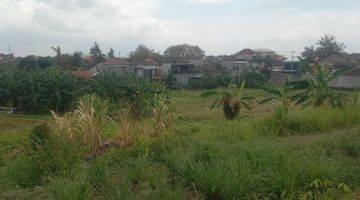 Gambar 4 Tanah:200 M2( 2 Are ) Full View Sawah Siap Bangun Di Jln Padonan /Dalung Badung Bali 