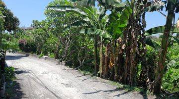 Gambar 3 Tanah:800 M2 (8 Are ) Super Langka Siap Bangun Dekat Pantai Seseh Munggu Bali 