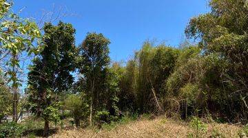 Gambar 2 Tanah:700 M2(7 Are) Super Langka Siap Bangun Di Nusa Dua Badung Bali 