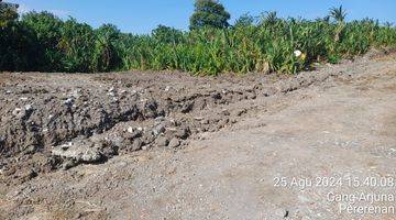 Gambar 2 Tanah:100  M2( 1are ) Super Langka Siap Bangun Di Pererenan Utara  Badung Bali 