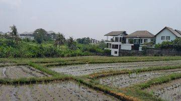 Gambar 2 Tanah:3460 M2(34,6 Are ) Super Langka Siap Bangun Di Jln Utama Pantai Seseh Munggu Bali 