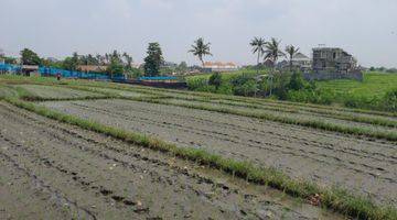 Gambar 3 Tanah:3460 M2(34,6 Are ) Super Langka Siap Bangun Di Jln Utama Pantai Seseh Munggu Bali 