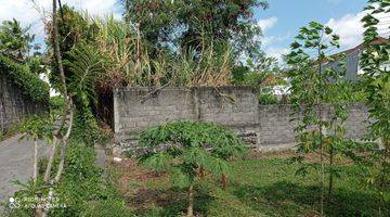 Gambar 5 Tanah:1000 M2(10 Are) Super Langka Siap Bangun Di Tibubeneng Canggu Bali 