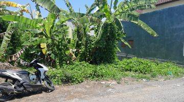 Gambar 1 Tanah:800 M2 (8 Are ) Super Langka Siap Bangun Dekat Pantai Seseh Munggu Bali 