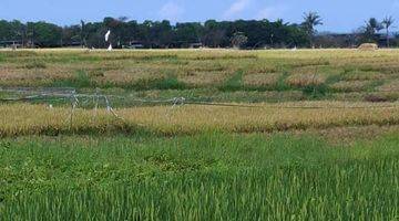 Gambar 3 Tanah:3600 M2(36 Are) Super Langka Siap Bangun Dekat Pantai Kelating Tabanan Bali 