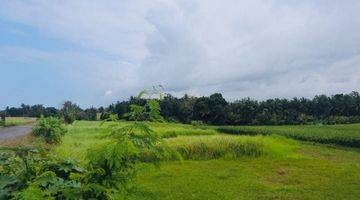 Gambar 1 Tanah:600 M2(6 Are ) Super Langka Siap Bangun Dekat Pantai Tanah Lot Tabanan Bali