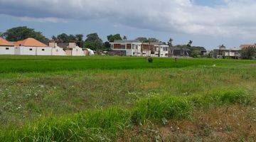 Gambar 5 Tanah Kavlingan Villa Los Sungai Full View Sawah Siap Bangun Dekat Pantai Seseh Munggu Badung Bali 