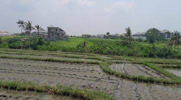 Gambar 5 Tanah:3460 M2(34,6 Are ) Super Langka Siap Bangun Di Jln Utama Pantai Seseh Munggu Bali 