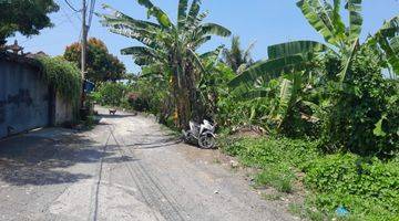 Gambar 4 Tanah:800 M2 (8 Are ) Super Langka Siap Bangun Dekat Pantai Seseh Munggu Bali 