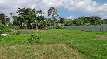 Gambar 3 Tanah:1200 M2(12 Are ) Super Langka Siap Bangun Di Pantai Berawa Canggu Bali 