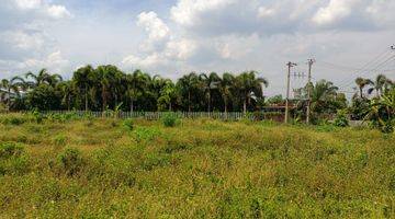 Gambar 1 Tanah Industri Sudah Pagar  Keliling, Bebas Banjir  Dekat Pelabuhan Kendal,bisa Dibangun Komplek Industri/Gudang