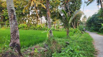 Gambar 2 Tanah Lokasi Bagus, View Sawah Cocok Untuk Gudang, Perumahan Atau Perkebunan