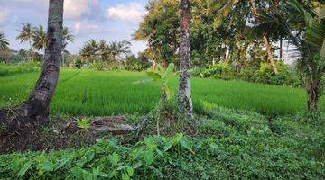 Gambar 1 Tanah Lokasi Bagus, View Sawah Cocok Untuk Gudang, Perumahan Atau Perkebunan