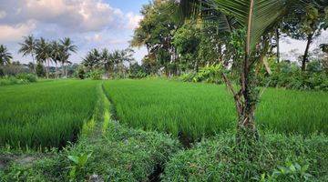 Gambar 3 Tanah Lokasi Bagus, View Sawah Cocok Untuk Gudang, Perumahan Atau Perkebunan