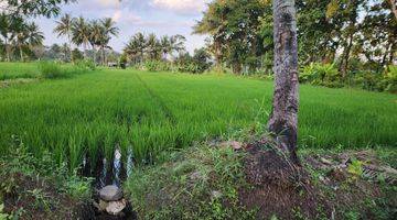 Gambar 4 Tanah Lokasi Bagus, View Sawah Cocok Untuk Gudang, Perumahan Atau Perkebunan