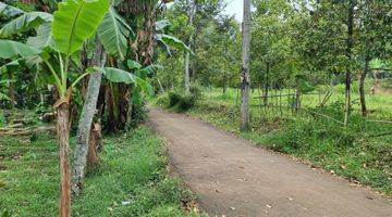 Gambar 1 Tanah Kebun Durian Dan Alpukat 750mtr.shm  Sekitar Rancamaya Ciawi Bogor. Tidak Jauh Dari Pintu Toll Ciawi Atau Dari Pintu Toll Bocimi