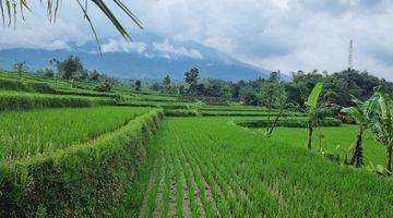 Gambar 1 Tanah Kebun Sawah Terbaik Diarea Ini.10 Menit Dari Pintu Toll Cigombong Lido Bogor.best View.nempel Kali Jernih.bisa Ambil Sebagian