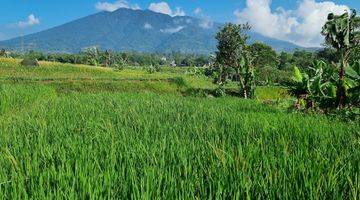 Gambar 2 Tanah Kebun Sawah Terbaik Diarea Ini.10 Menit Dari Pintu Toll Cigombong Lido Bogor.best View.nempel Kali Jernih.bisa Ambil Sebagian