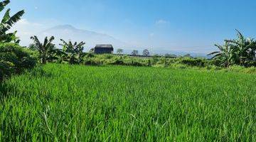 Gambar 3 Tanah Kebun Sawah Terbaik Diarea Ini.10 Menit Dari Pintu Toll Cigombong Lido Bogor.best View.nempel Kali Jernih.bisa Ambil Sebagian