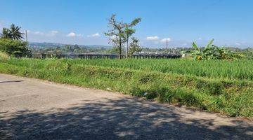 Gambar 3 Tanah Kebun Sawah Terbaik Diarea Ini.10 Menit Dari Pintu Toll Cigombong Lido Bogor.best View.nempel Kali Jernih.bisa Ambil Sebagian