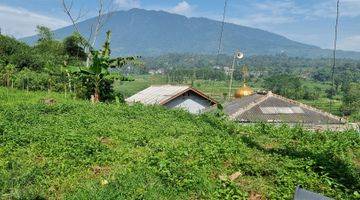 Gambar 5 Tanah Kebun Sawah Terbaik Diarea Ini.10 Menit Dari Pintu Toll Cigombong Lido Bogor.best View.nempel Kali Jernih.bisa Ambil Sebagian