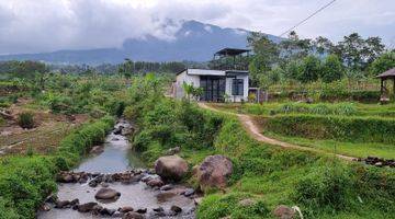 Gambar 5 Tanah Kebun Sawah Terbaik Diarea Ini.10 Menit Dari Pintu Toll Cigombong Lido Bogor.best View.nempel Kali Jernih.bisa Ambil Sebagian