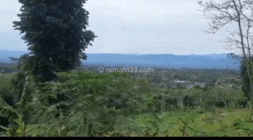 Gambar 2 Tanah strategis subur.3menit dari jl nasional.view bagus.air berlimpah cugenang cianjur