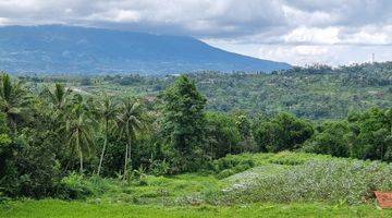 Gambar 5 Tanah kebun jambu kristal seluas 19000m².dekat ke pintu toll sukabumi