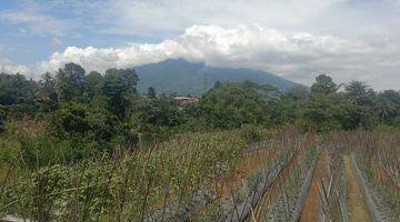 Gambar 5 Tanah Luas 500mtr & 1000mtr.7menit Dari Toll Caringin Bogor.ada Ukuran Kecil Juga,view Gunung Dan Nempel Kali Bersih