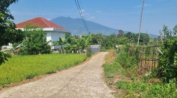 Gambar 1 Tanah 1ha.7menit Pintu Toll Caringin Bogor.view Pegunungan.murah