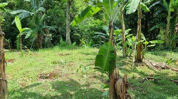 Gambar 4 Tanah Kebun Durian Dan Alpukat 750mtr.shm  Sekitar Rancamaya Ciawi Bogor. Tidak Jauh Dari Pintu Toll Ciawi Atau Dari Pintu Toll Bocimi