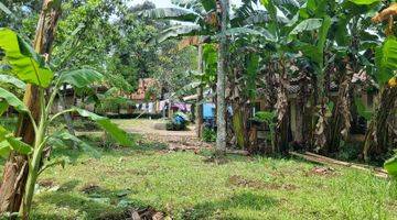 Gambar 1 Tanah Kebun Durian Dan Alpukat 750mtr.shm  Sekitar Rancamaya Ciawi Bogor. Tidak Jauh Dari Pintu Toll Ciawi Atau Dari Pintu Toll Bocimi