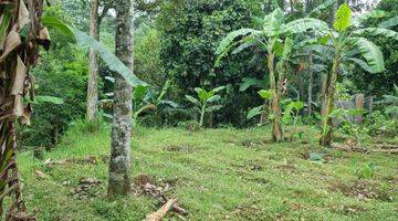 Gambar 4 Tanah Kebun Durian Dan Alpukat 750mtr.shm  Sekitar Rancamaya Ciawi Bogor. Tidak Jauh Dari Pintu Toll Ciawi Atau Dari Pintu Toll Bocimi