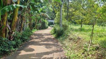 Gambar 3 Tanah Kebun Durian Dan Alpukat 750mtr.shm  Sekitar Rancamaya Ciawi Bogor. Tidak Jauh Dari Pintu Toll Ciawi Atau Dari Pintu Toll Bocimi