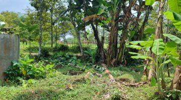 Gambar 2 Tanah Kebun Durian Dan Alpukat 750mtr.shm  Sekitar Rancamaya Ciawi Bogor. Tidak Jauh Dari Pintu Toll Ciawi Atau Dari Pintu Toll Bocimi