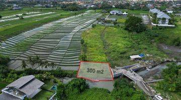 Gambar 2 Area Berkembang Seseh !! Tanah Pinggir Sungai,View Pantai Dan Sawah Di Pantai Seseh, Munggu di Pantai seseh, Munggu