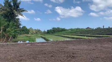 Gambar 4 Dijual Tanah di Bali SHM View Sawah di Jalan Yeh Gangga, Tabanan