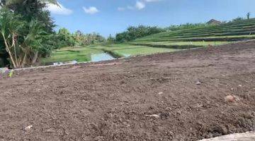 Gambar 5 Dijual Tanah di Bali SHM View Sawah di Jalan Yeh Gangga, Tabanan